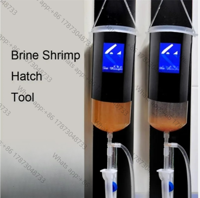 Fairy shrimp egg artemia alive - Baby Food Egg 评论和价格