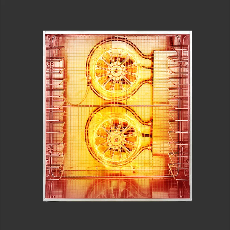 8-Tier Home Food Dehydrator; P - Dry Food Baby 评论和价格
