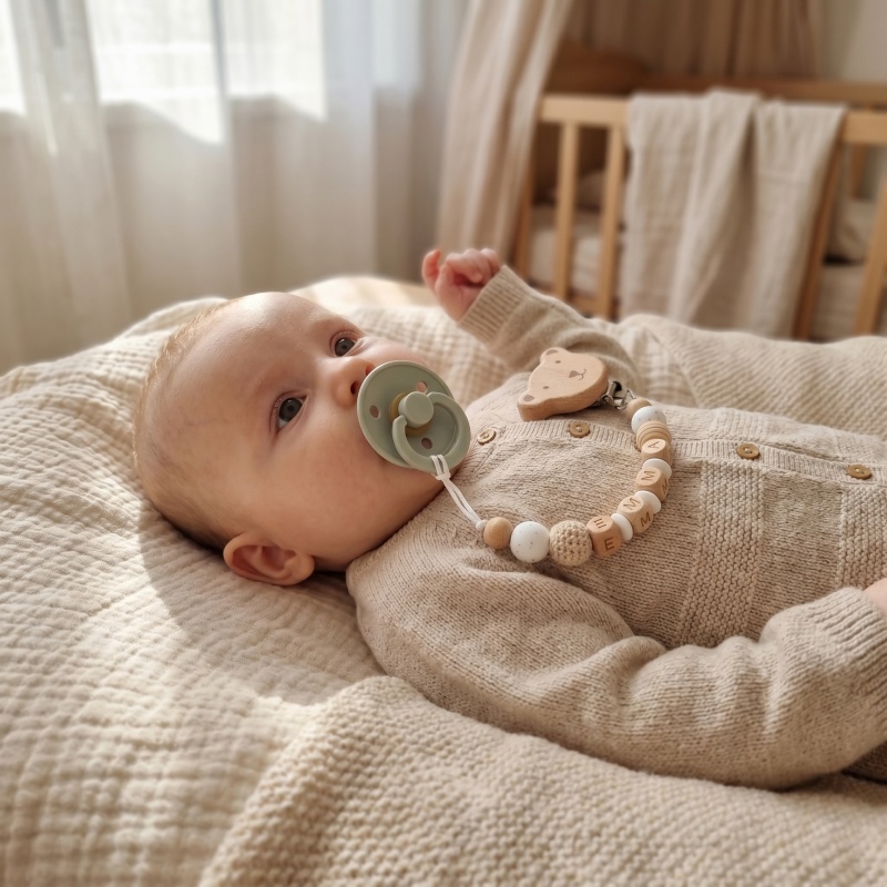 Personalized Pacifier Clip Cus - Baby Food Teether 评论和价格